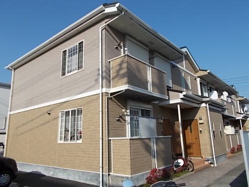 �A���J�f�B�A